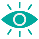 Vision Icon